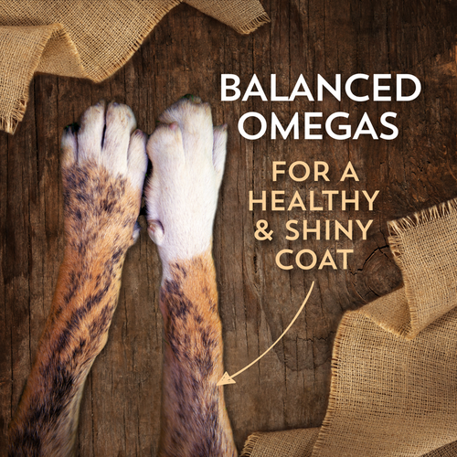 Wholesomes Grain Free Beef Meal & Potatoes Recipe Dry Dog Food