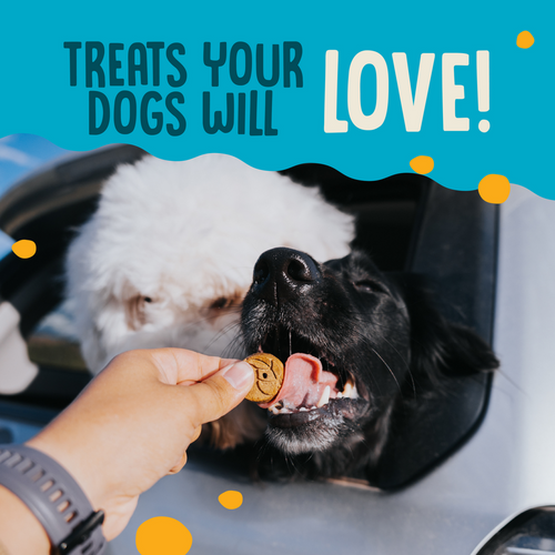 Earthbites Crunchy Grain Free Salmon Treats