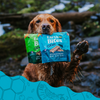 Earthbites Chewy Salmon Dog Treats