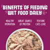 Weruva Mideast Feast With Grilled Tilapia Canned Cat Food