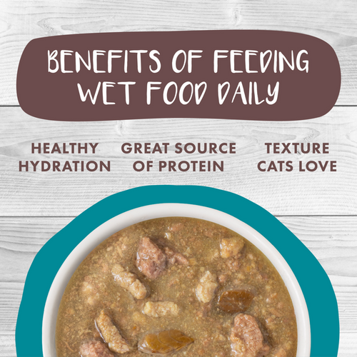 Weruva Classic Cat Stews! Stew's Clues with Turkey Chicken & Salmon in Gravy Canned Cat Food