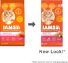 Iams ProActive Health Original with Salmon and Tuna Dry Cat Food