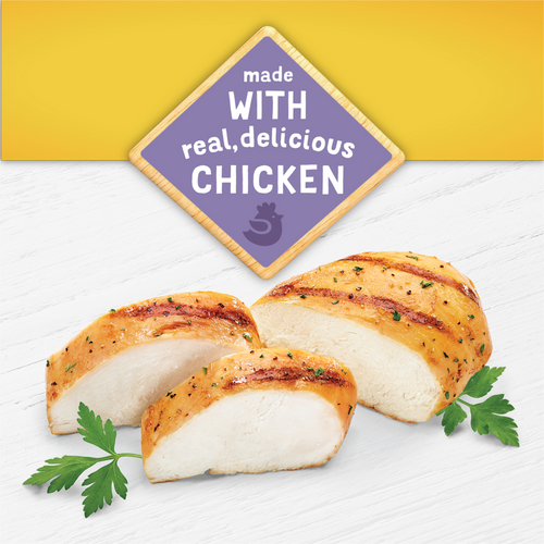 Purina Kitten Chow Kitten Food Healthy Development with Real Chicken Dry Kitten Food