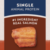 Natural Balance Limited Ingredient Grain Free Salmon & Sweet Potato Recipe Dry Dog Food