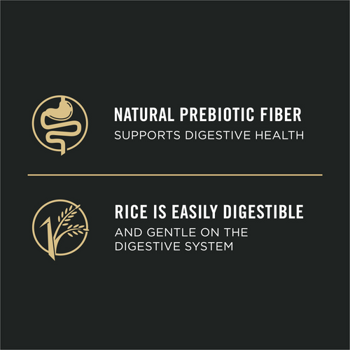 Purina Pro Plan Sensitive Skin & Stomach Salmon & Rice Pate Canned Dog Food