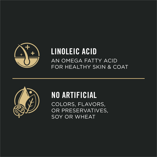 Purina Pro Plan Sensitive Skin & Stomach Salmon & Rice Pate Canned Dog Food