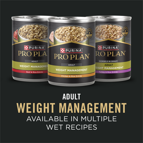 Purina Pro Plan Adult Large Breed Weight Management Formula Dry Dog Food