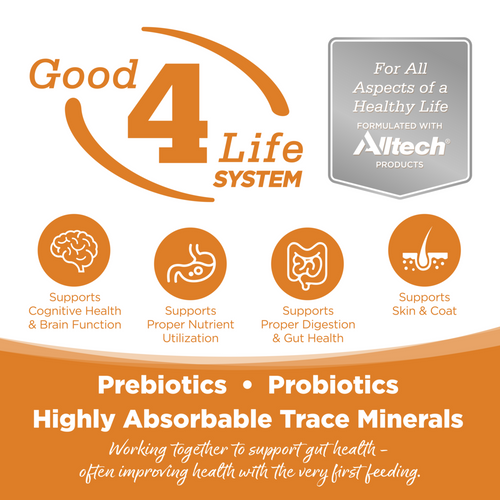 NutriSource  Cat & Kitten Chicken, Turkey & Lamb Canned Cat Food