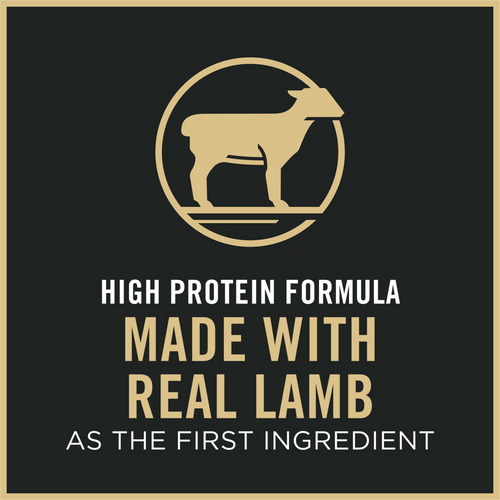 Purina Pro Plan Adult Sensitive Skin & Stomach Lamb & Rice Formula Dry Cat Food