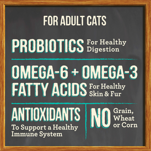 Merrick Purrfect Bistro Grain Free Real Salmon & Sweet Potato Recipe Dry Cat Food