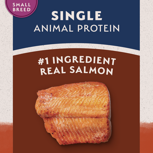 Natural Balance Limited Ingredient Grain Free Salmon & Sweet Potato Small Breed Recipe Dry Dog Food