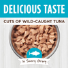 Instinct Healthy Cravings Grain Free Tender Tuna Recipe Meal Topper Pouches for Cats