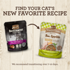 Merrick Backcountry Grain Free Gluten Free Premium High Protein Wet Cat Food, Turkey Recipe Cuts With Gravy