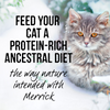 Merrick Backcountry Grain Free Gluten Free Premium High Protein Wet Cat Food, Turkey Recipe Cuts With Gravy