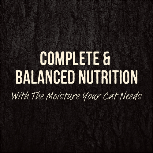 Merrick Backcountry Grain Free Gluten Free Premium High Protein Wet Cat Food, Duck Recipe Cuts With Gravy