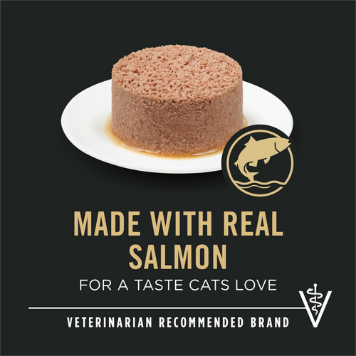 Purina Pro Plan Urinary Tract Health Salmon Recipe Canned Cat Food