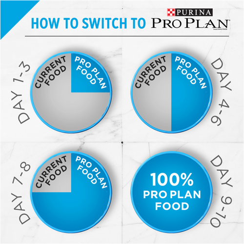 Purina Pro Plan Chicken & Rice Formula Adult Small & Toy Breed Dry Dog Food