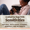 Merrick Limited Ingredient Diet Dry Dog Food Real Salmon & Brown Rice Recipe with Healthy Grains