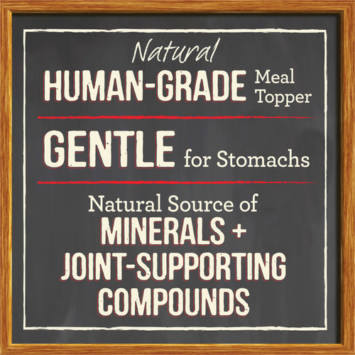 Merrick Grain Free Chicken Bone Broth Wet Dog Food Topper