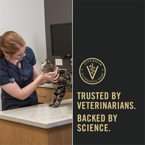 Purina Pro Plan Sensitive Skin & Stomach Poultry & Seafood Favorites Variety Pack Wet Cat Food