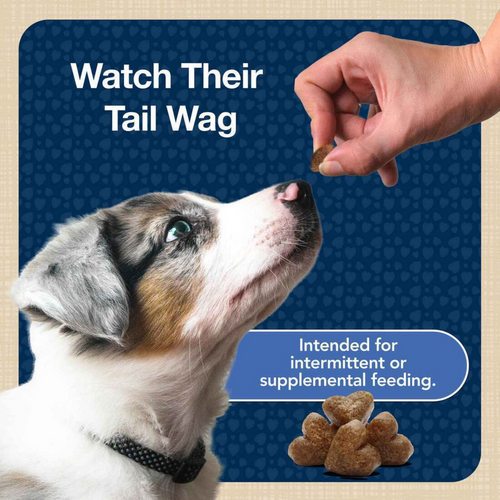 Blue Buffalo Bits Tasty Chicken Natural Soft-Moist Training Treats