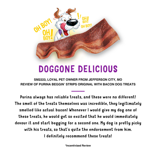 Beggin' Strips Dog Treats, Original With Bacon Flavor
