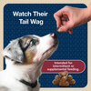 Blue Buffalo Bits Tender Beef Natural Soft Moist Training Dog Treats