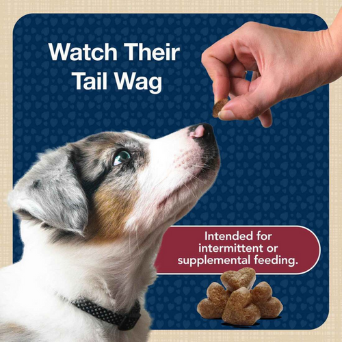 Blue Buffalo Bits Tender Beef Natural Soft Moist Training Dog Treats