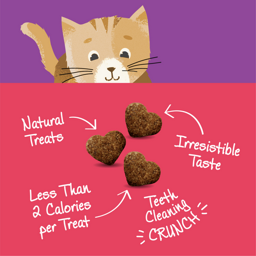 Wellness Kittles Crunchy Salmon & Cranberry Cat Treats