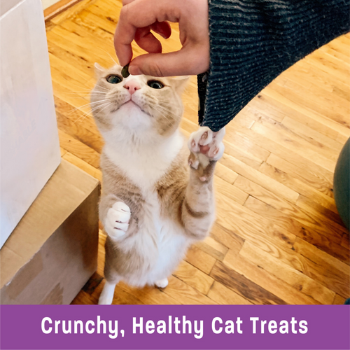 Wellness Kittles Crunchy Salmon & Cranberry Cat Treats