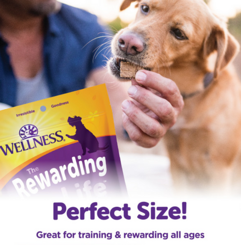 Wellness Natural Grain Free Rewarding Life Beef & Turkey Dog Treats